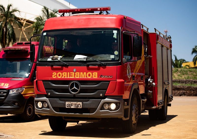 Bombeiros combatem enxame de marimbondos em creche de Alta Floresta após ataque a crianças